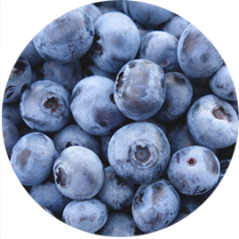 blueberry 02
